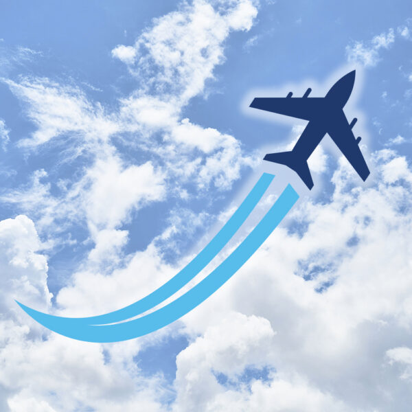 VUELO SENCILLO